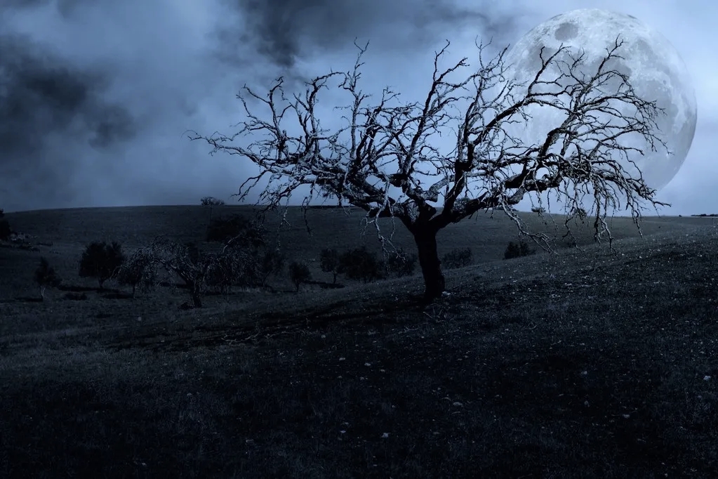 去了这个地方后,闺蜜从淑女变泼妇,直到寿衣店老板娘