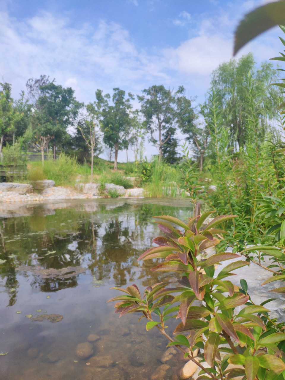 凤尾眼妆天花板 #氛围眼妆天花板#  好物名称: 好的眼妆可以让人眼前