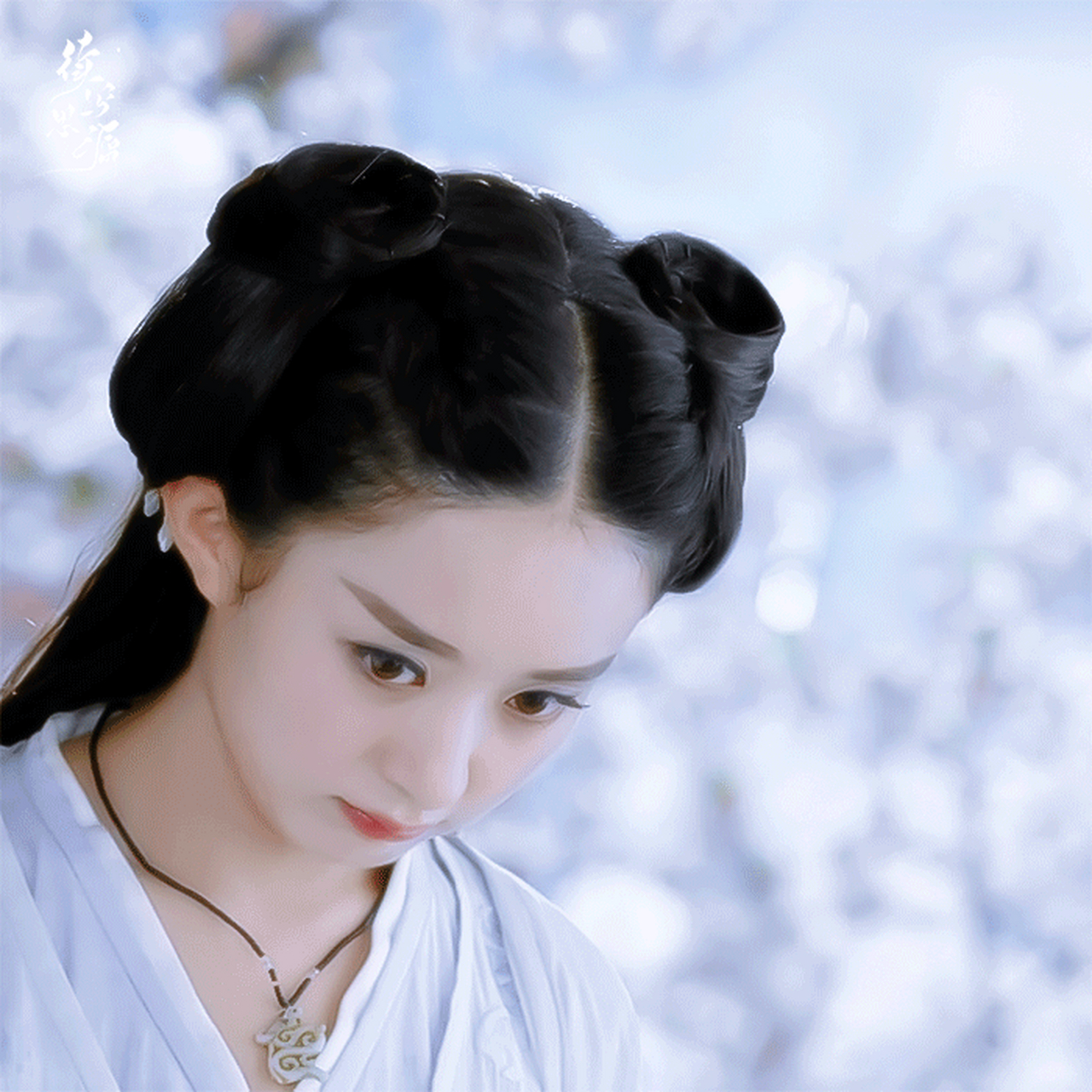 赵丽颖#  演员赵丽颖 成就经典! 花千骨这样的仙侠好难超越啊.