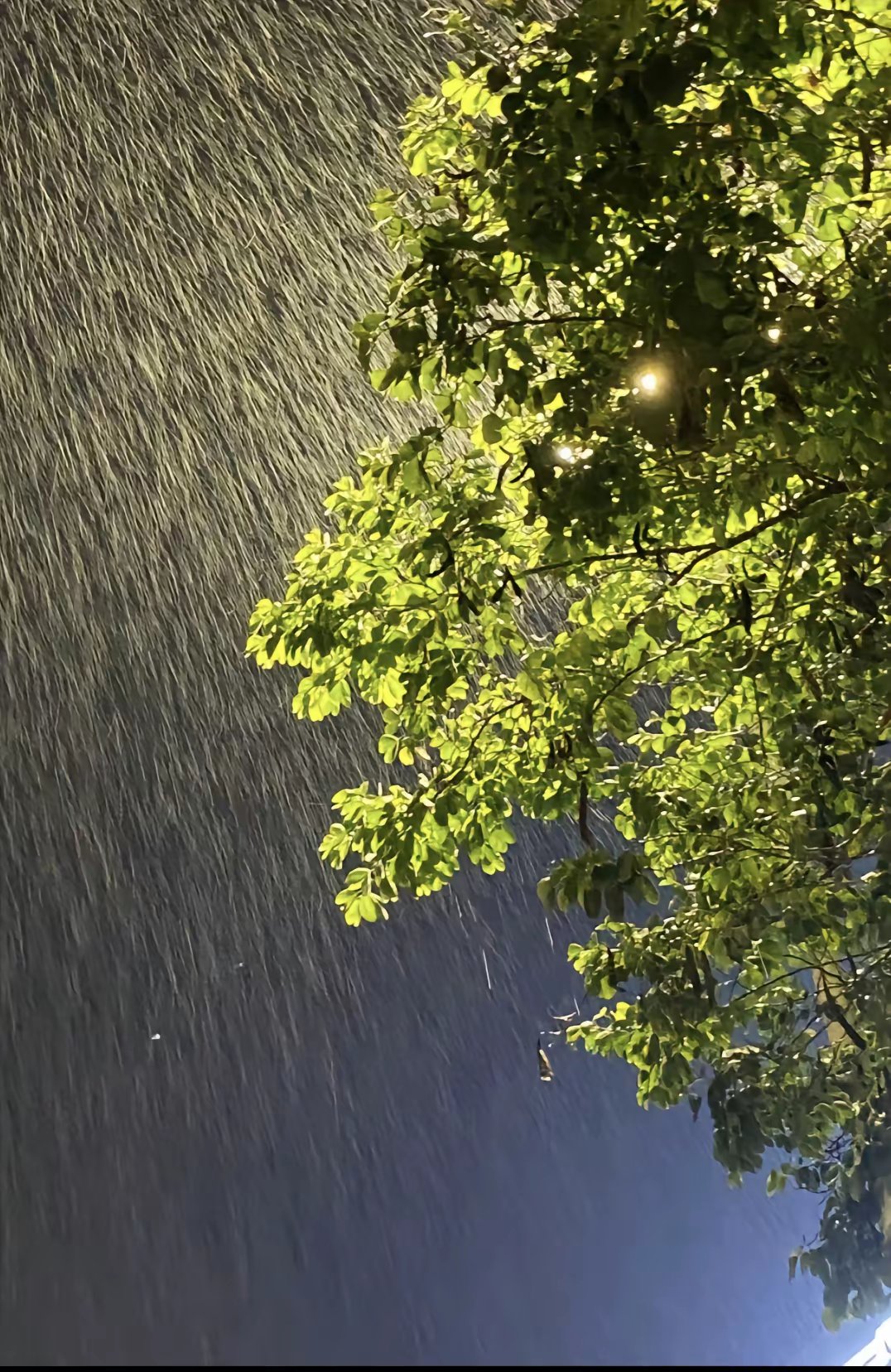 下雨的夜晚图片 心情图片