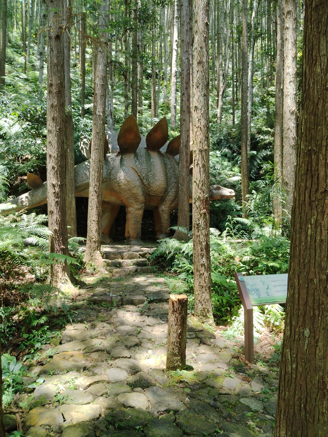 九阜山生态旅游景区图片