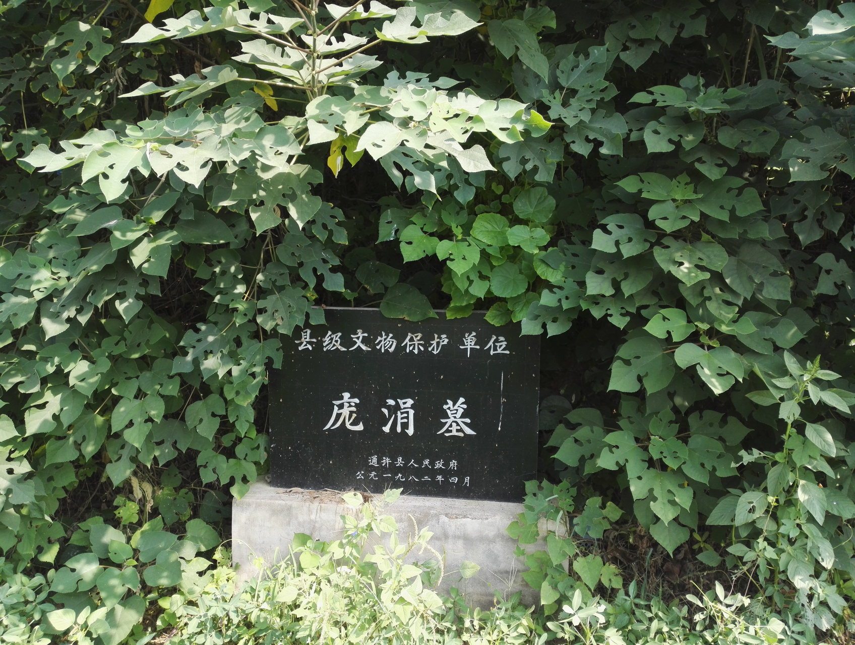 墓前有通许县文保碑.