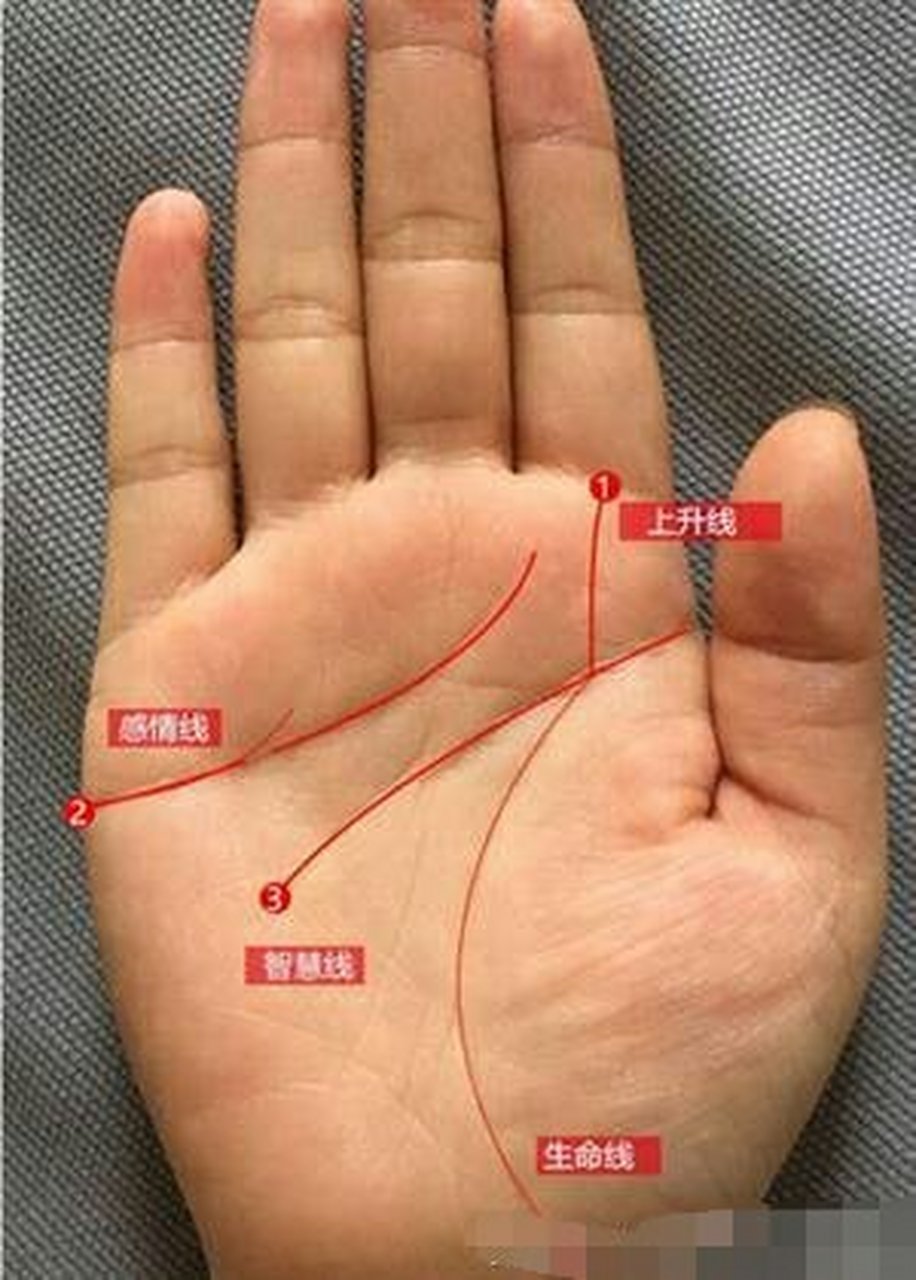 手相算命,粉丝免费简批.