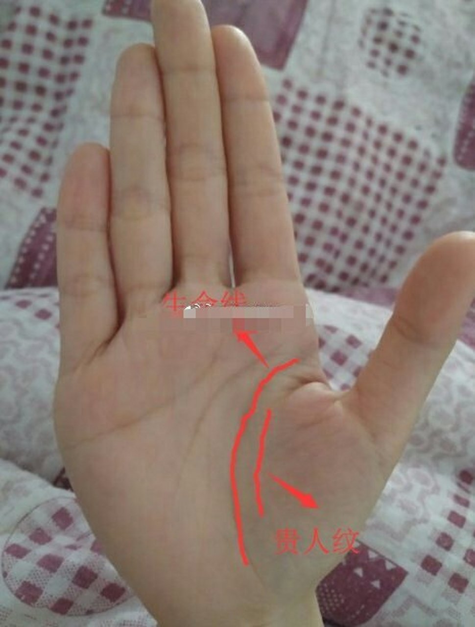 手纹上看贵人纹  位于手中的生命线内侧,称其为祖荫纹,阴骘纹,是祖上