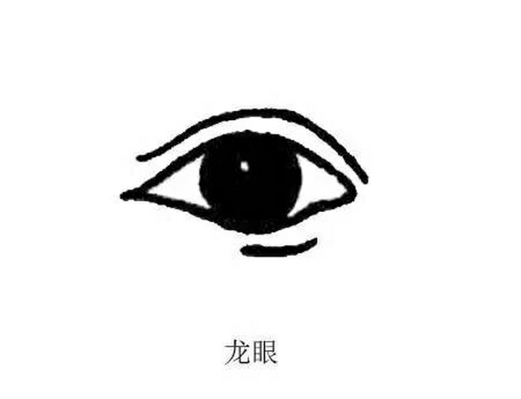 女人是龙眼面相好吗?