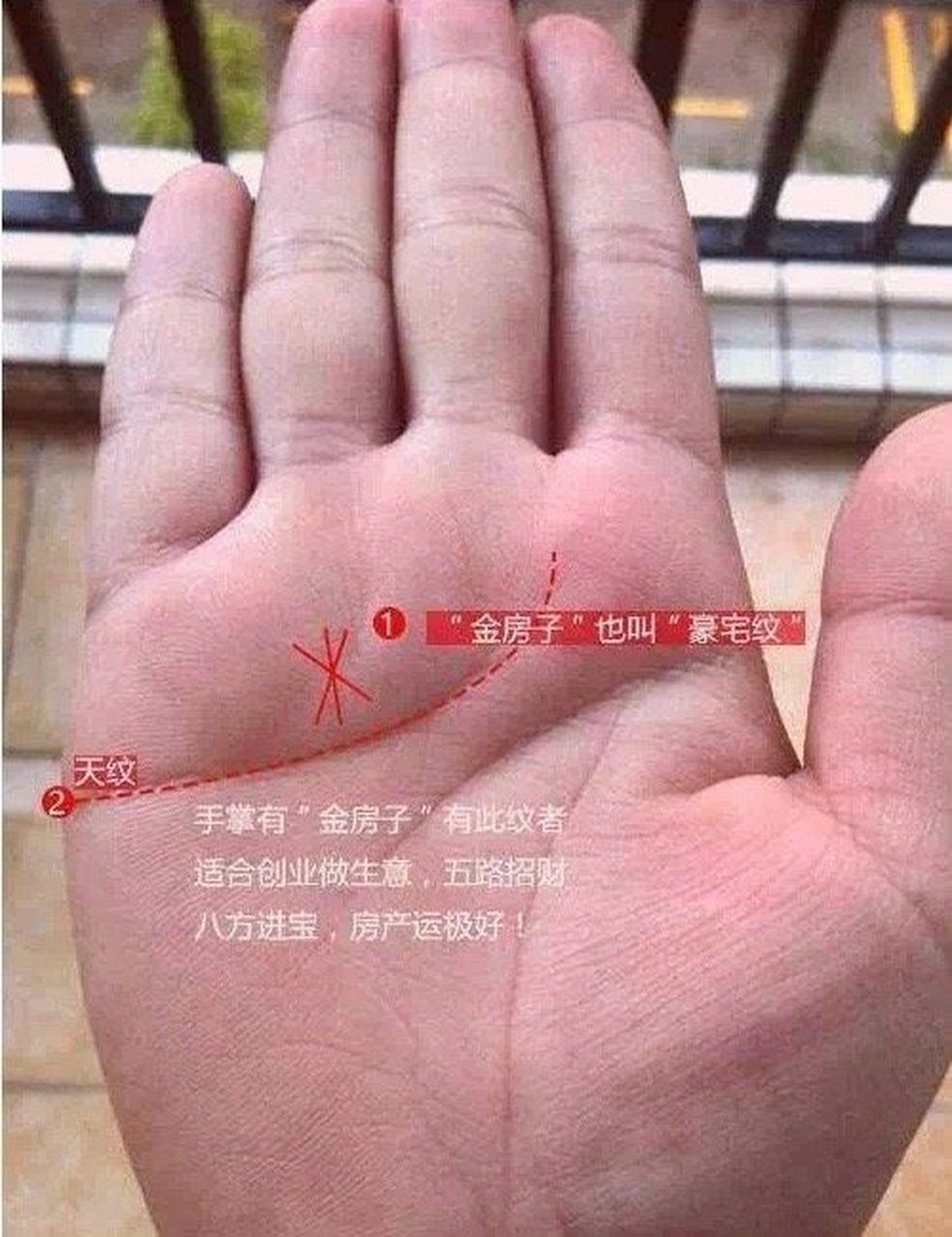 金房子纹路,是一种位置特殊的三角纹,手相学上叫"金房子.