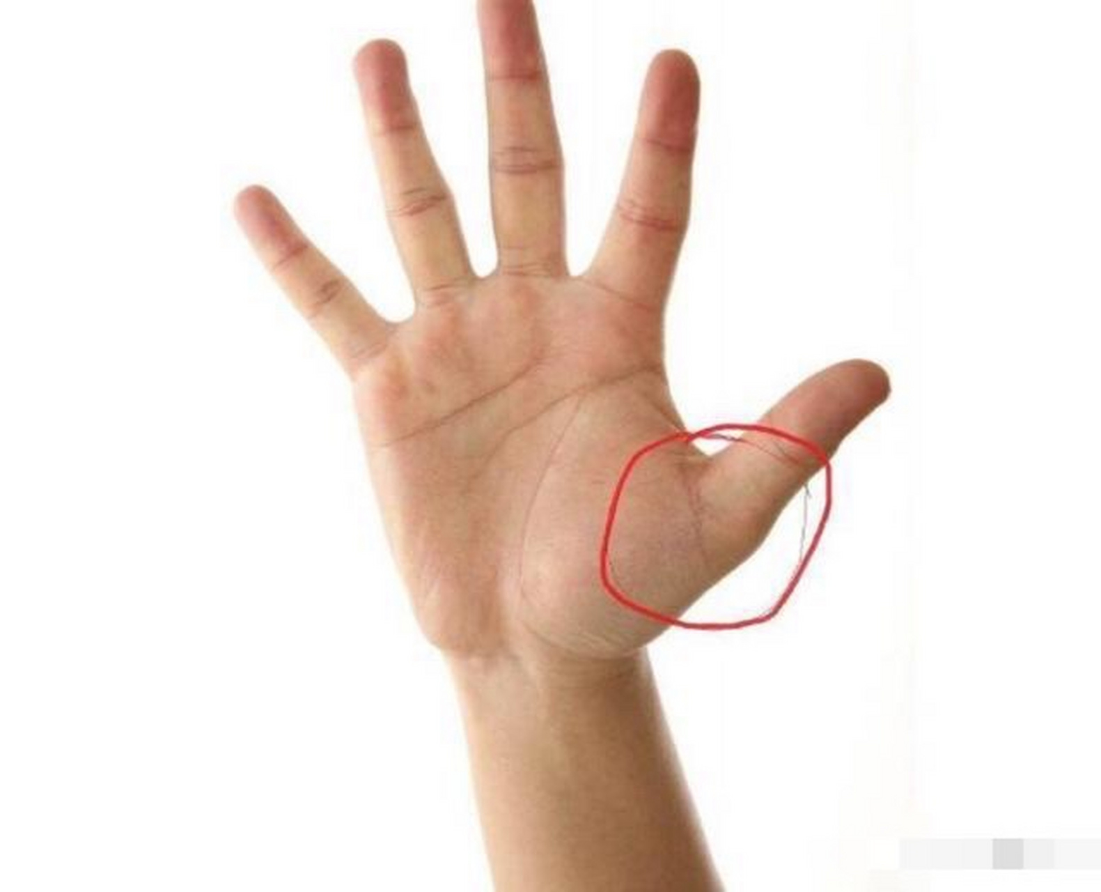 如果在大拇指的第二关节处的上二分之一处长横纹,也是有妇科疾病