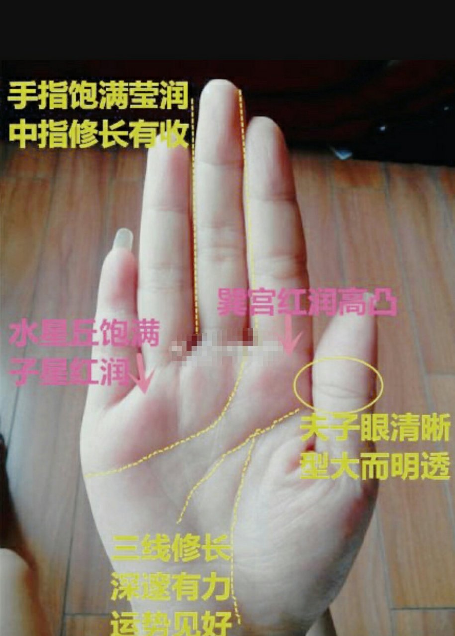女孩手相,夫子眼~凤眼纹位于大拇指的中间指节纹上,是比较有福气的人