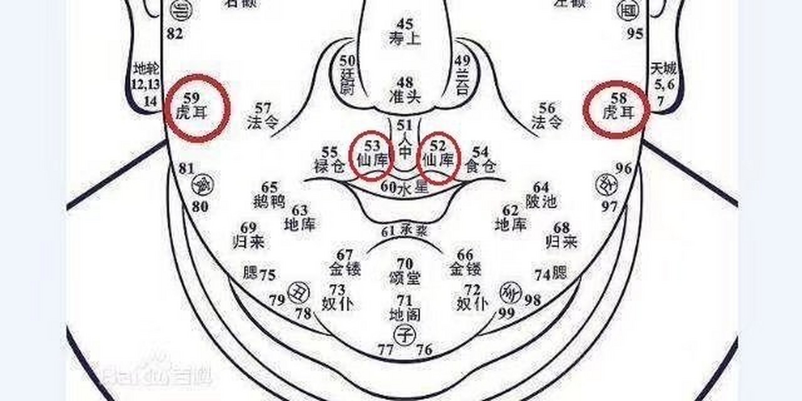 它位于兰台(兰台是什么)之下,人中(人中看相)两侧,左边仙库看52岁部位