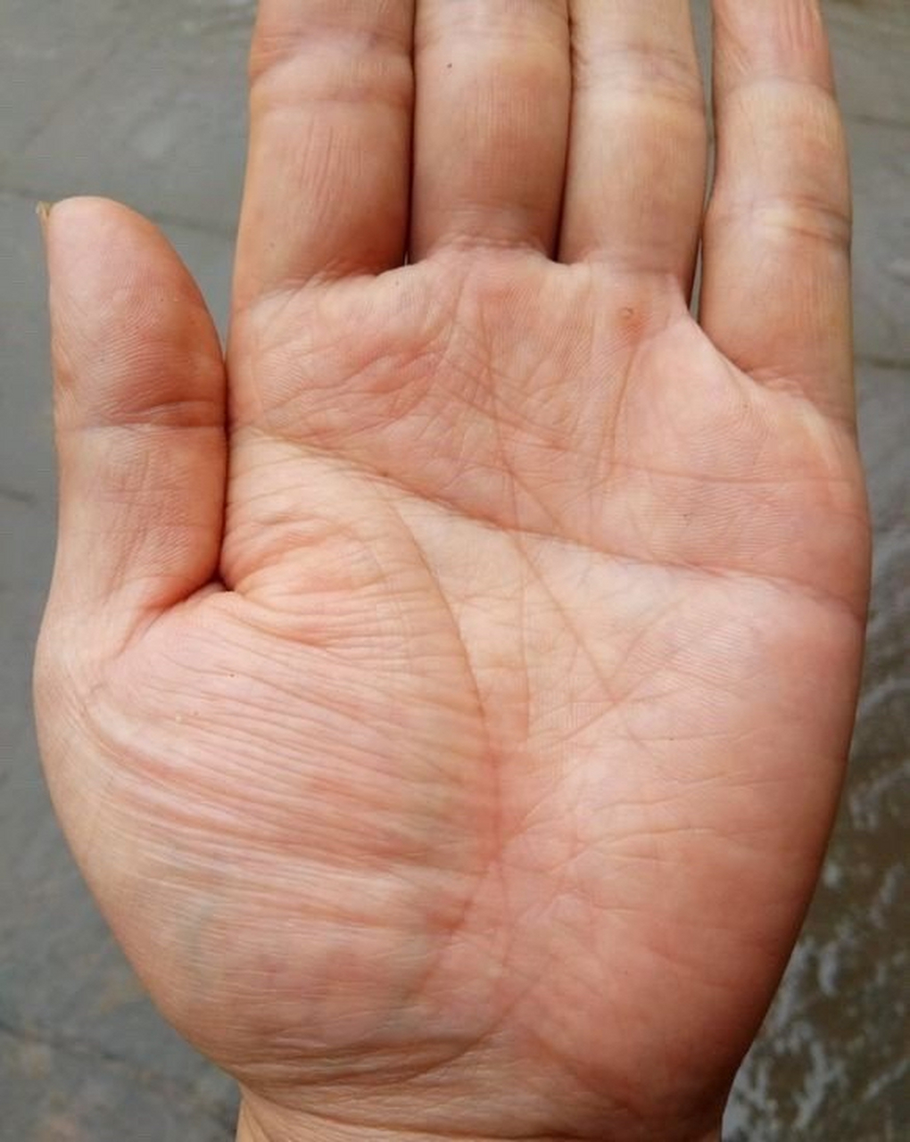 手相分析:  金星丘竖纹比较多,个性坚强,意志力坚定,但是比较固执,爱