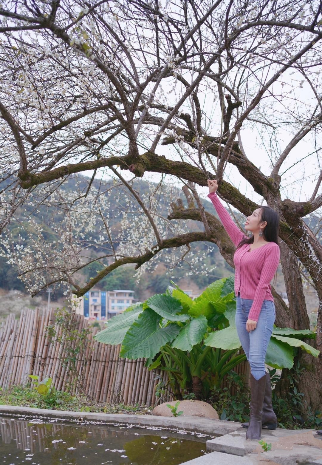 梅花树下美女自然相片图片