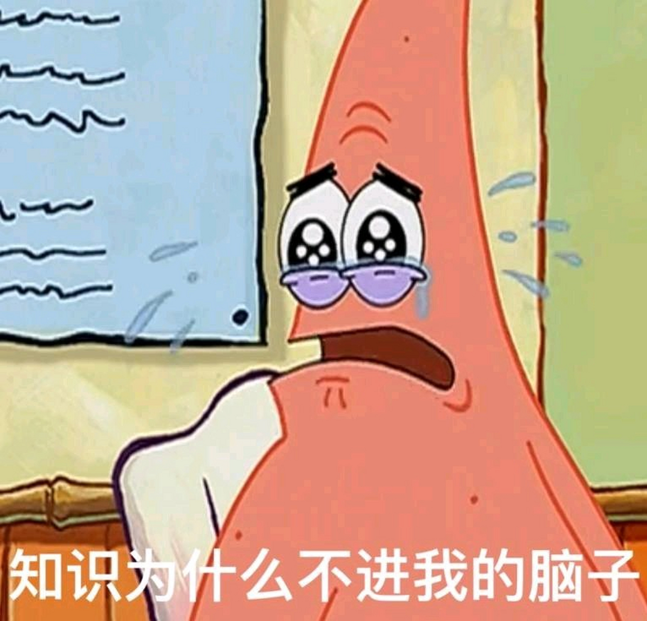 派大星表情包(点赞抱图谢谢)
