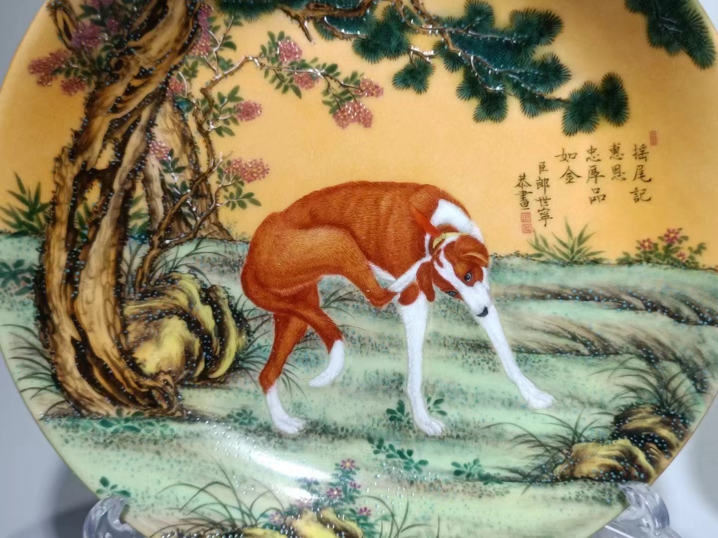 郎世宁的十犬图有几幅图片