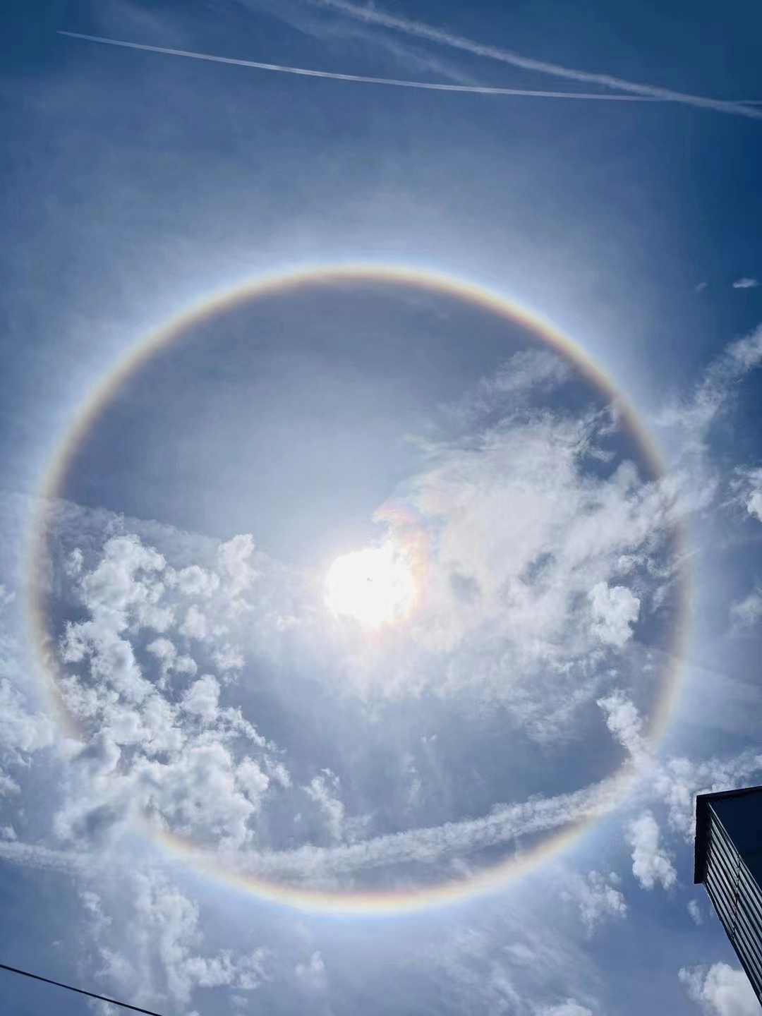 今天全温州人民都在秀美丽的太阳光晕! 原来太阳晕了后是这个样子!