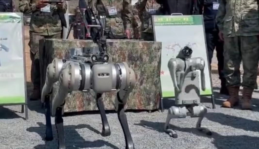 最近中柬双方进行的"金龙-2024"正在举行之中,其中以机器狗最为亮眼.