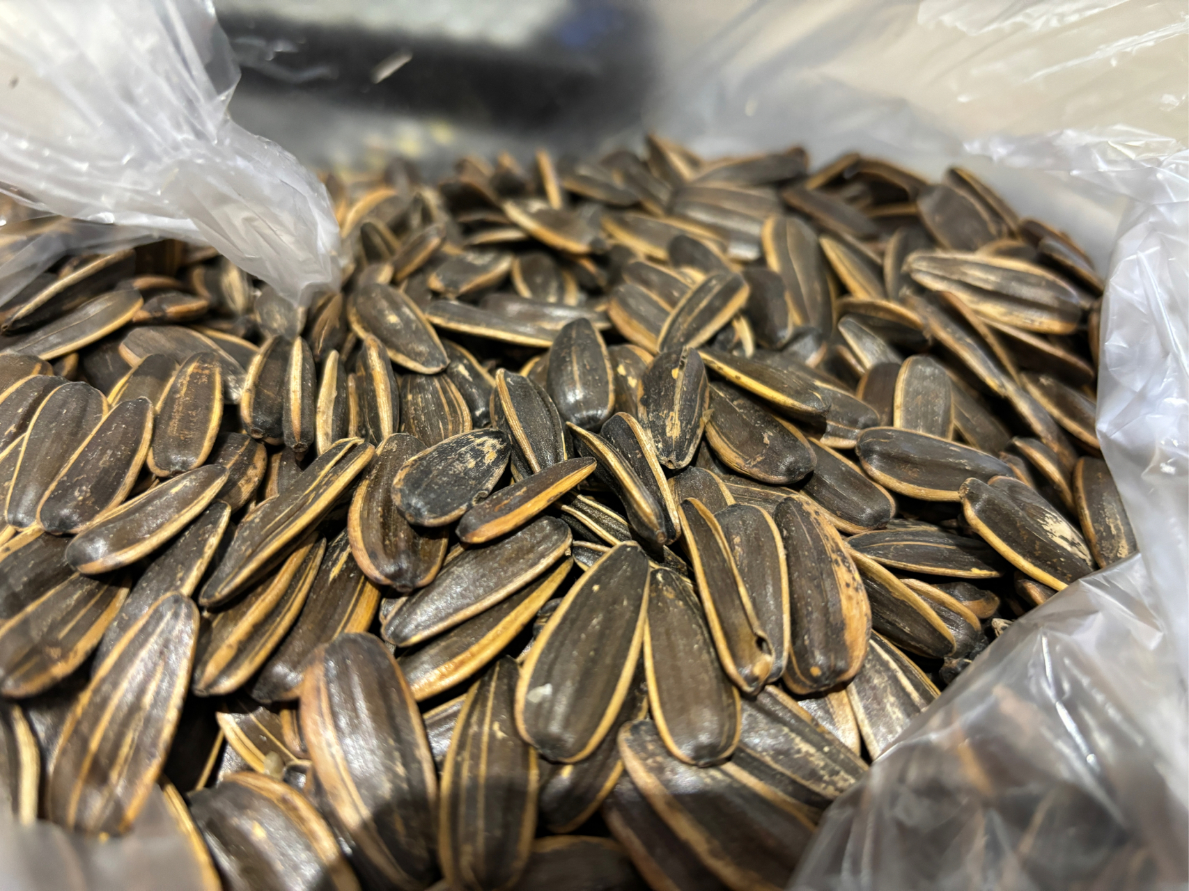 冬天是嗑瓜子的季节,黄皮瓜子我的最爱