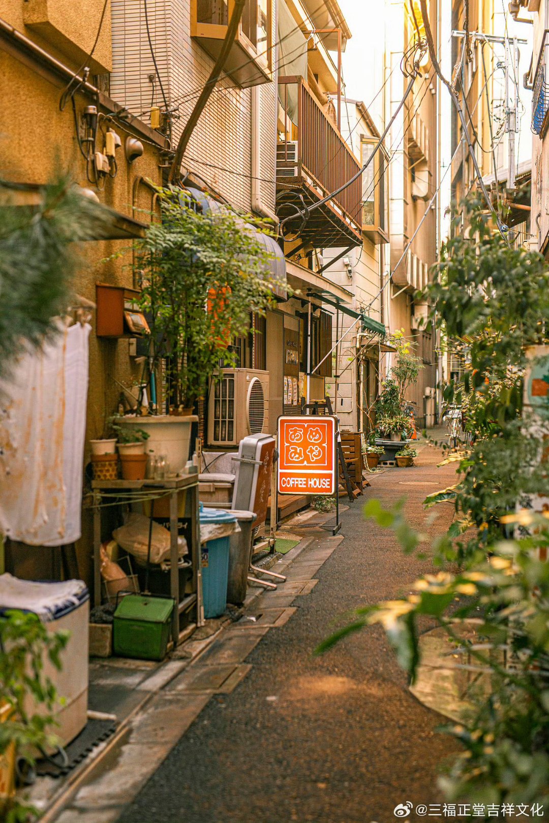 《风居住的街道》          漫步于这条古老的街道,仿佛置身于一幅