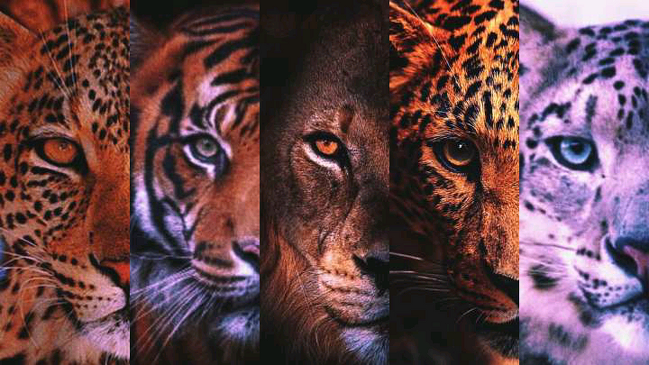 狮子是威武的,狮吹是恶心的