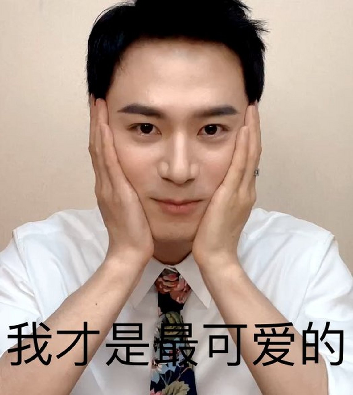 茅子俊# 俊哥的表情包迟早要把我笑死