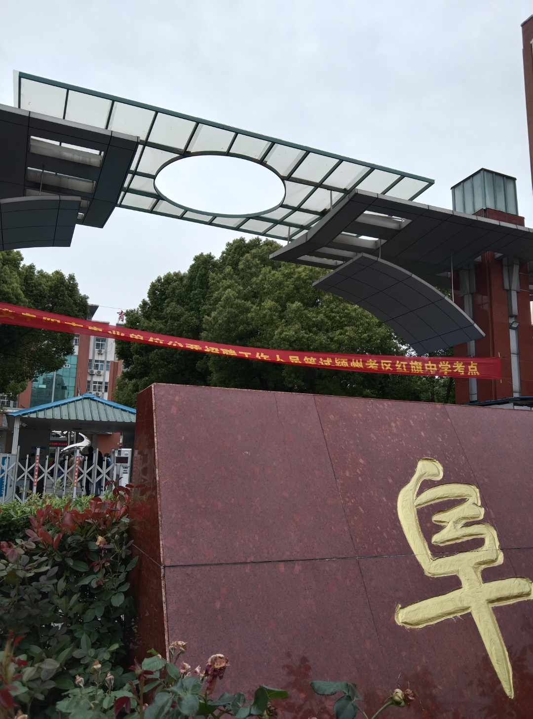内行看门道,外行看热闹