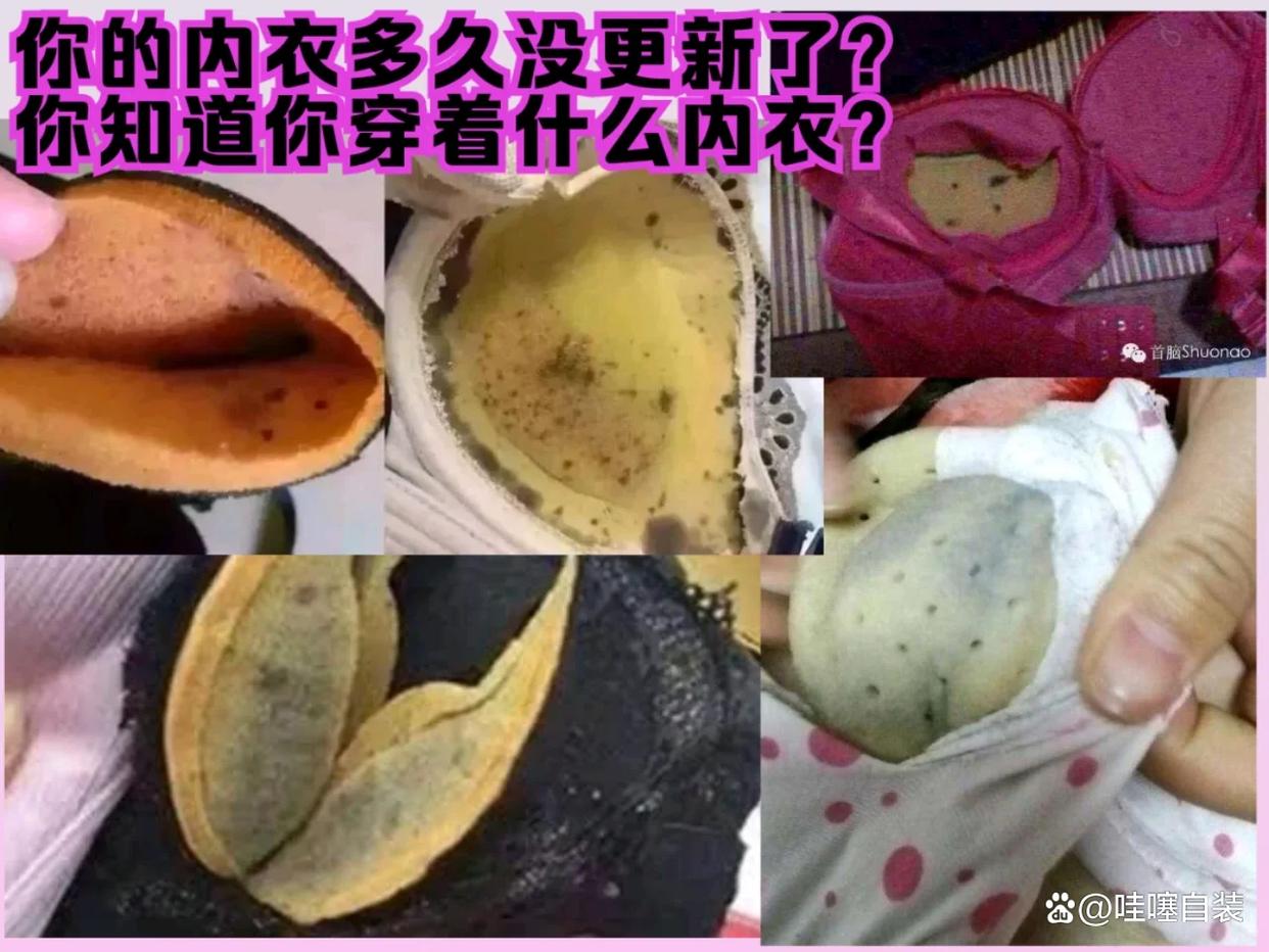 内衣为什么会发霉