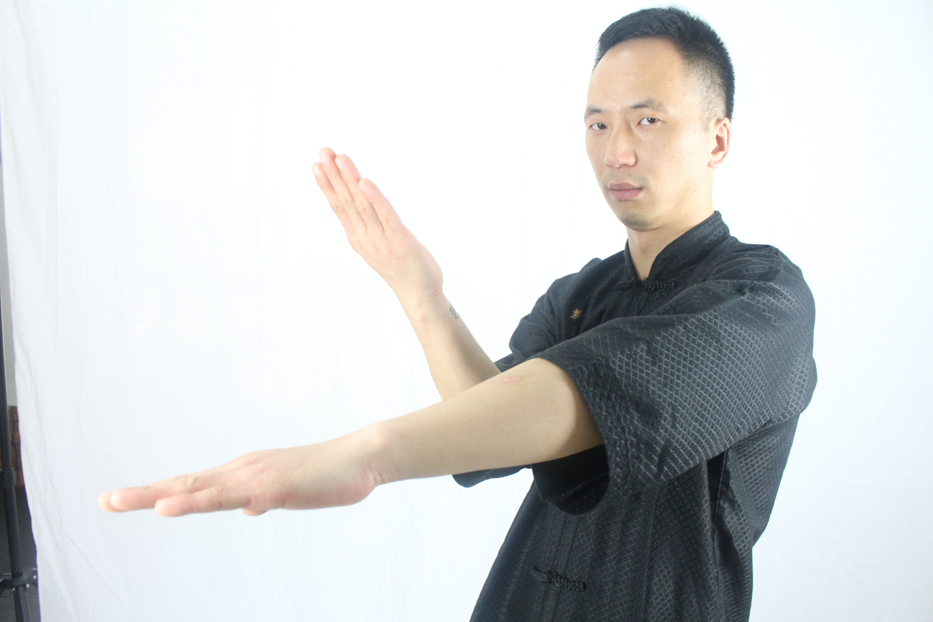 咏春传正统 华夏振雄风!