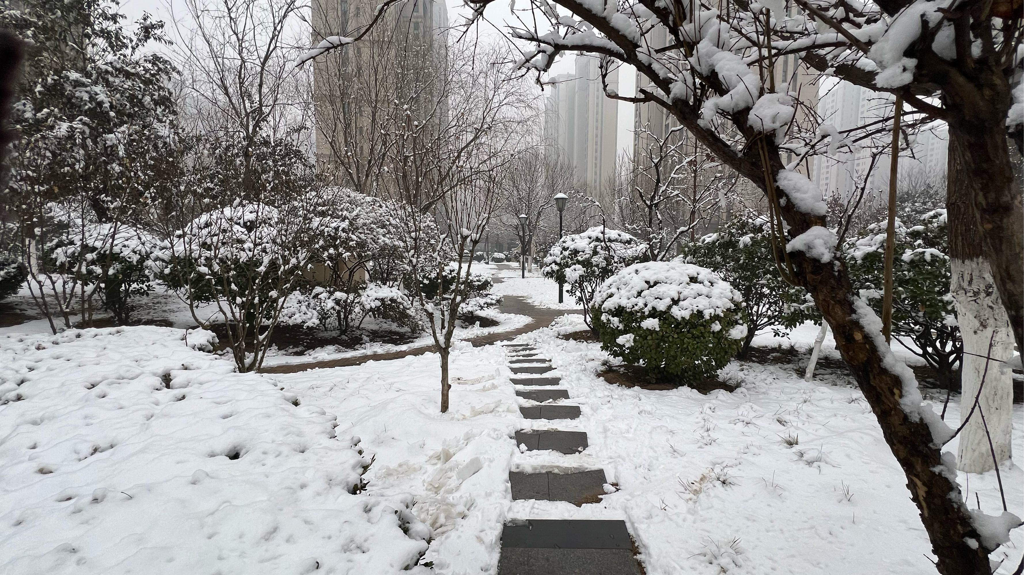 下雪 真实 实景图片