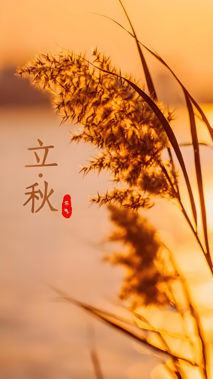 七律·立秋思故人  雨馀天际散凉埃,庭院萧然暑意来.