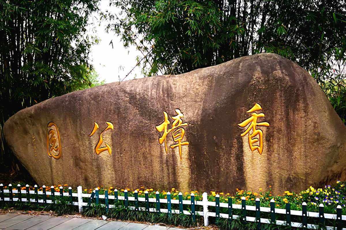 香樟公园是一座老公园,建成已经20多年时间了.