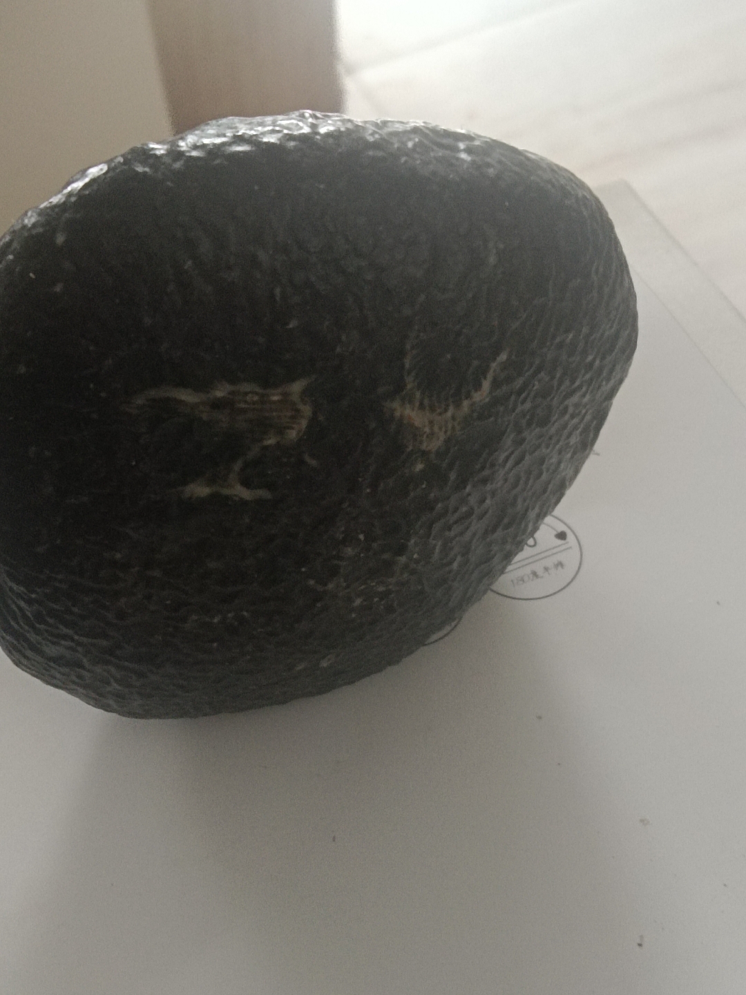 新疆戈壁滩捡到的石头懂的大神给上上眼,完整,品相很好