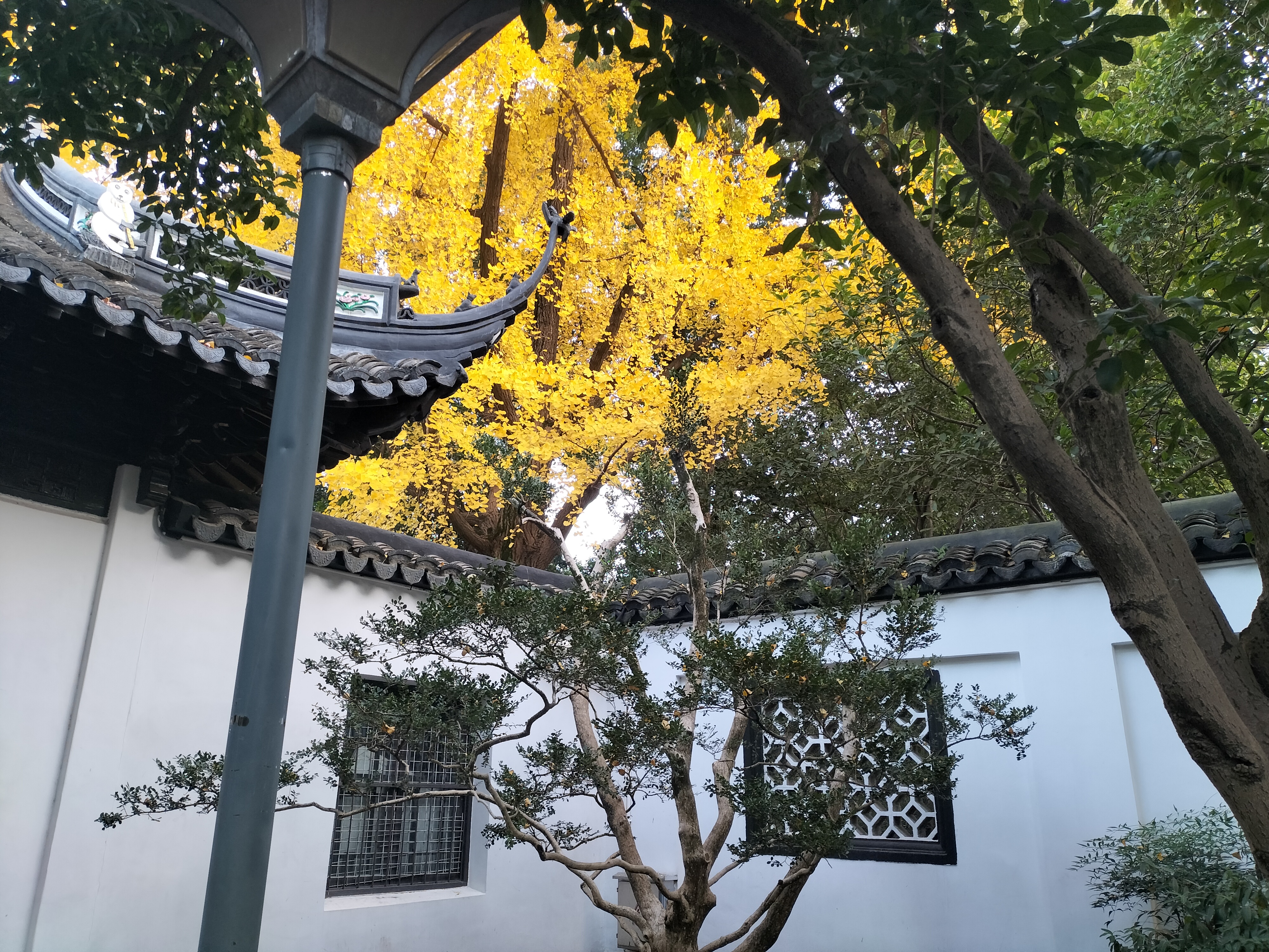 上海徐汇区桂林公园 解放前是黄金荣的私人别墅,现经过改造,已成为