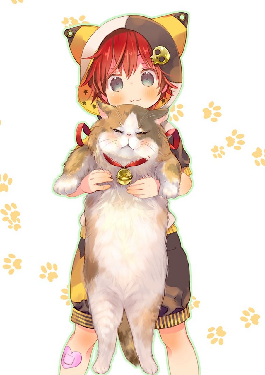 猫之日#  #推特爱上二次元#  猫猫这么可爱,又有谁会讨厌它呢?