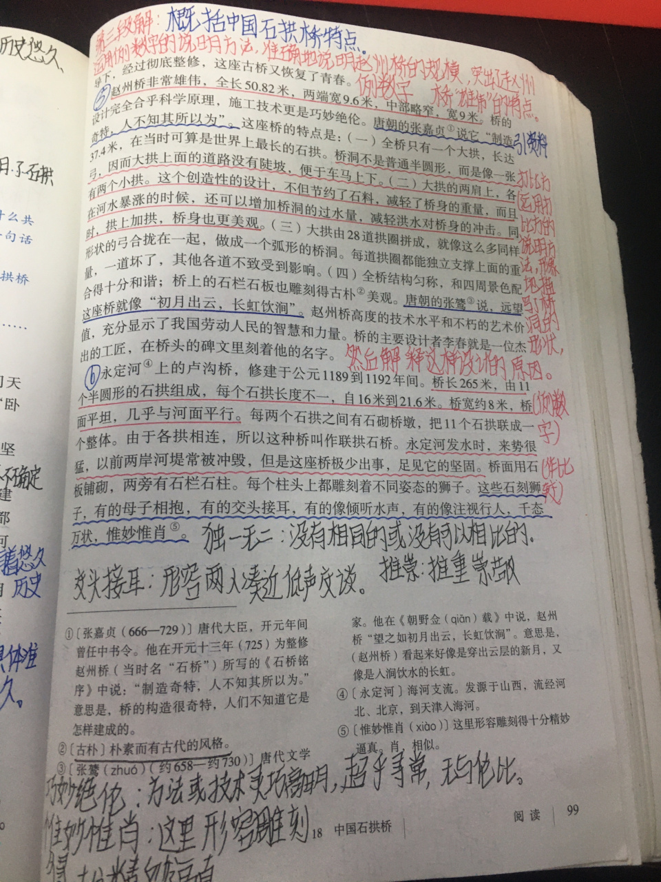 八年级语文上册 第十八课 中国石拱桥 笔记分享