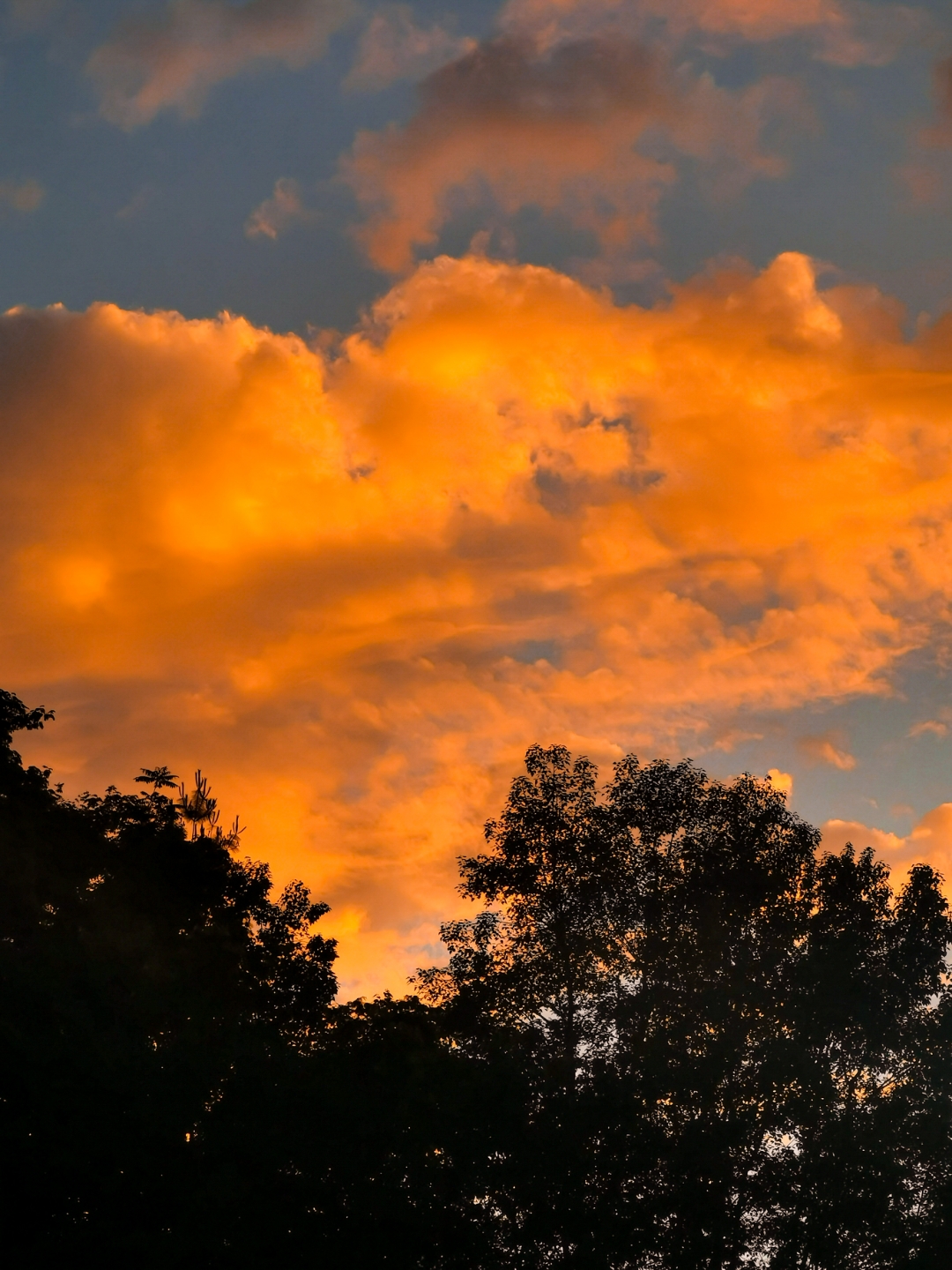 夕阳下的云彩,美得像一幅画.