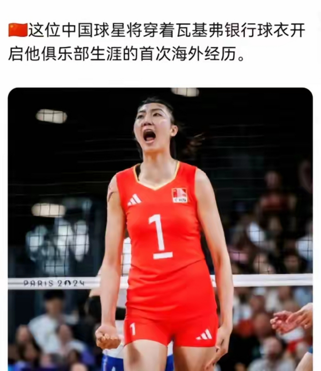 中国女排新任队长图片