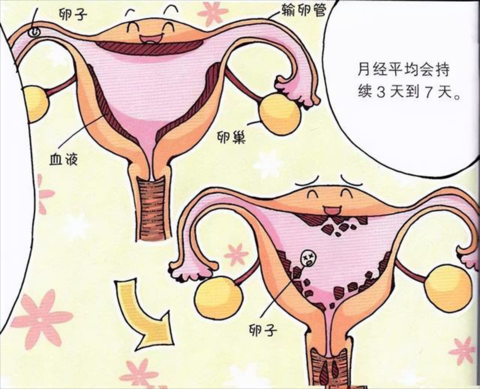 13岁来月经,当时父母外出打工,没有和别人说,卫生巾也不知道怎么用,来
