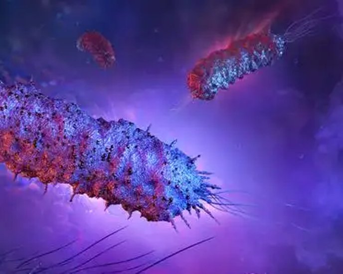 arp病毒，arp病毒怎么找源头