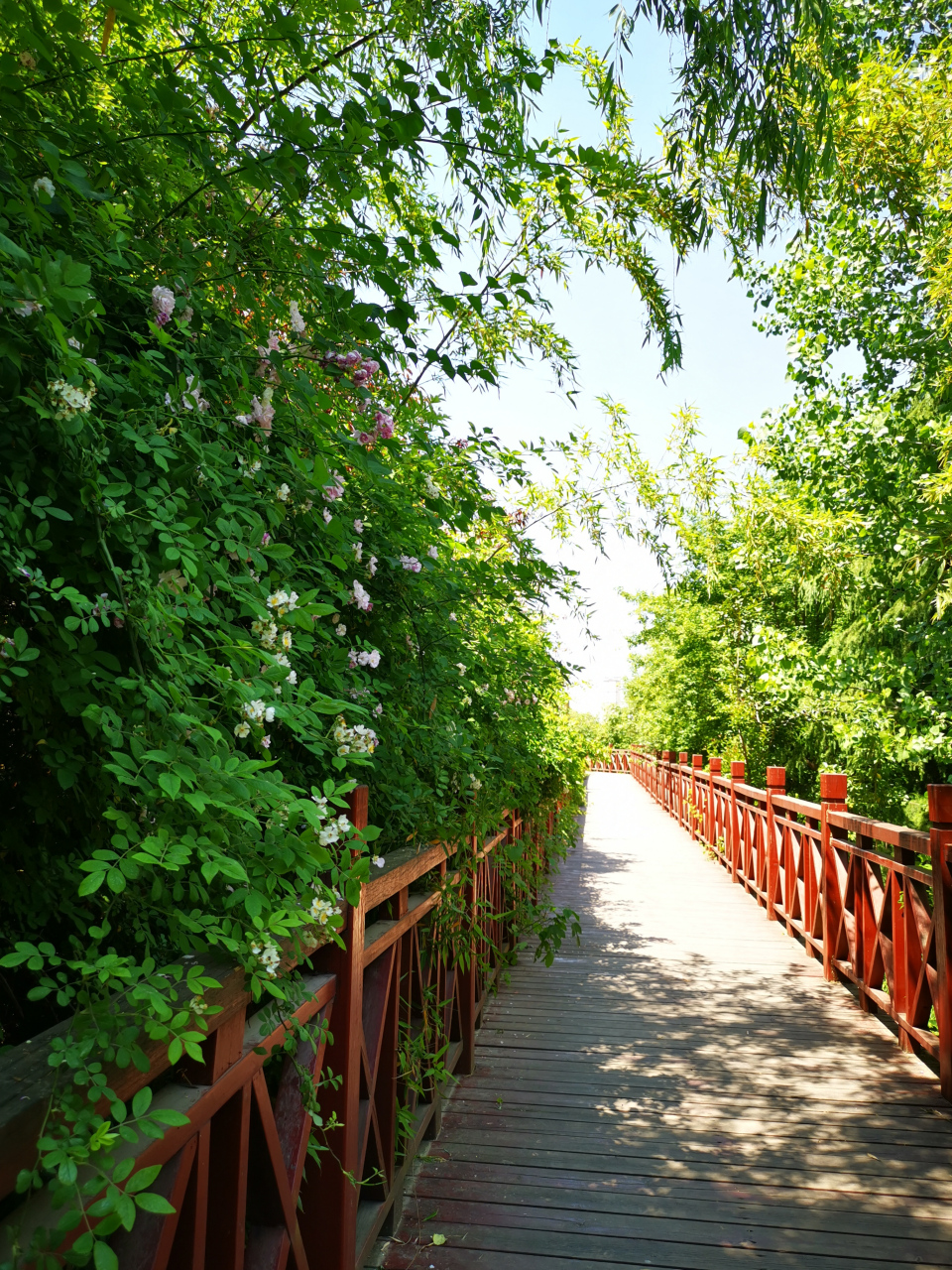 清凉山森林公园,有山,寺,水,林布局,错落有致又浑然一体,是西安城市