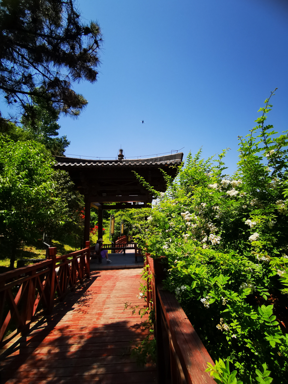 清凉山森林公园,有山,寺,水,林布局,错落有致又浑然一体,是西安城市