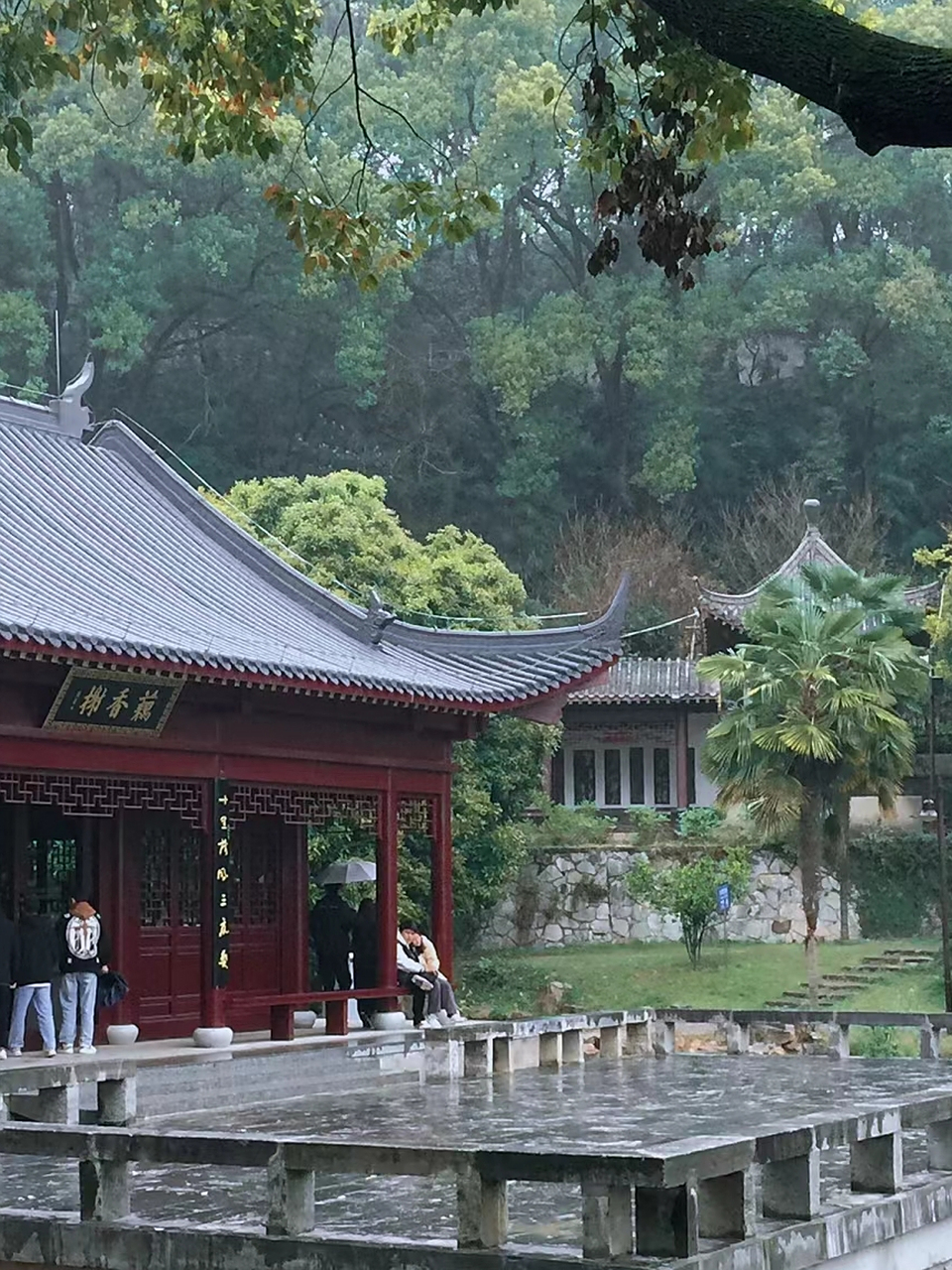 团城山公园 一秒仿佛入烟雨江南