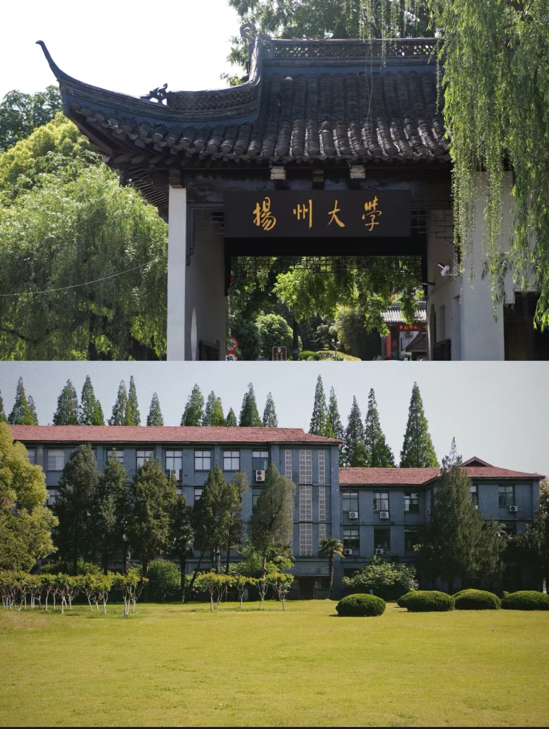 扬州大学师范学院图片