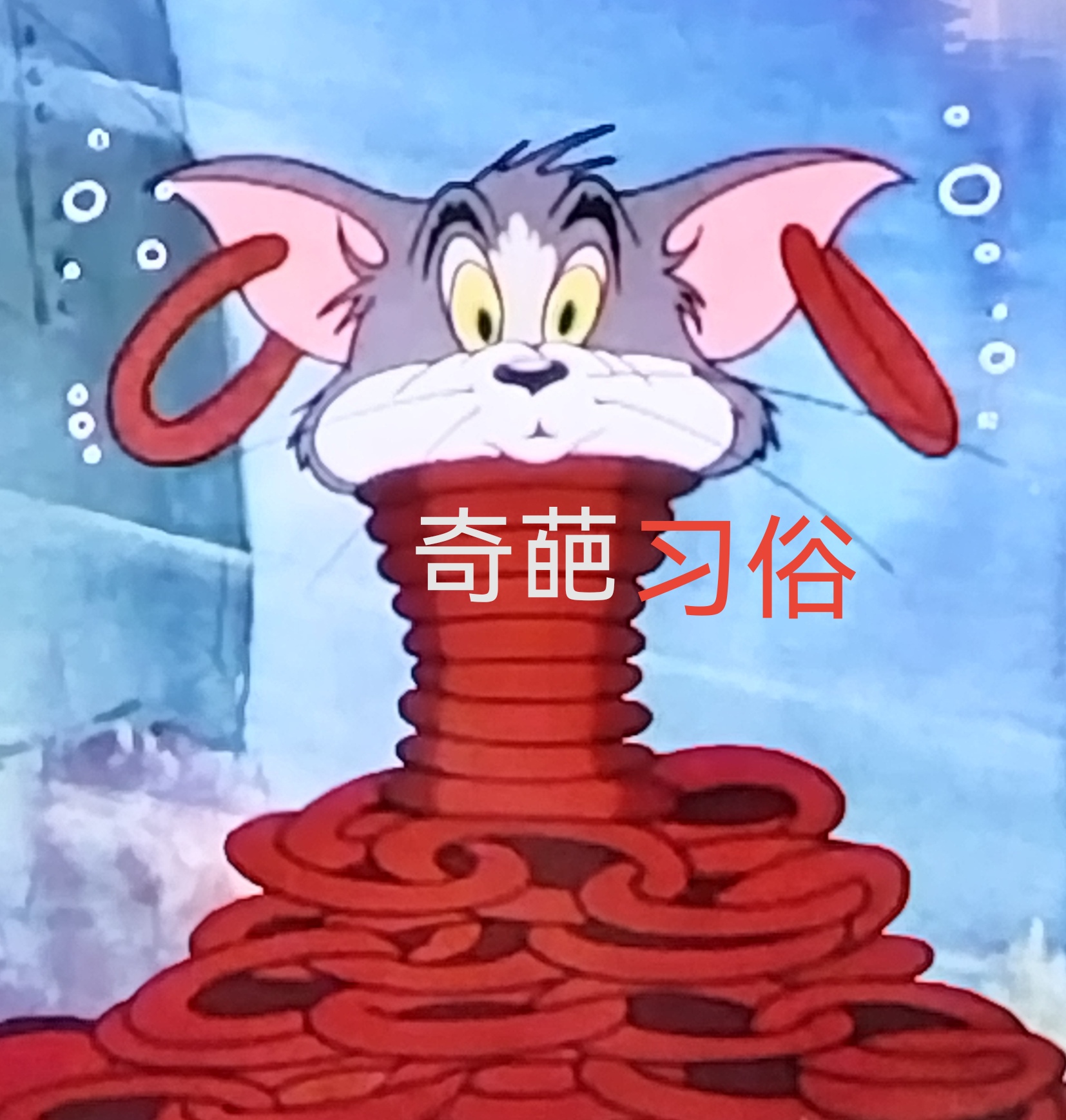 猫和老鼠表情包4