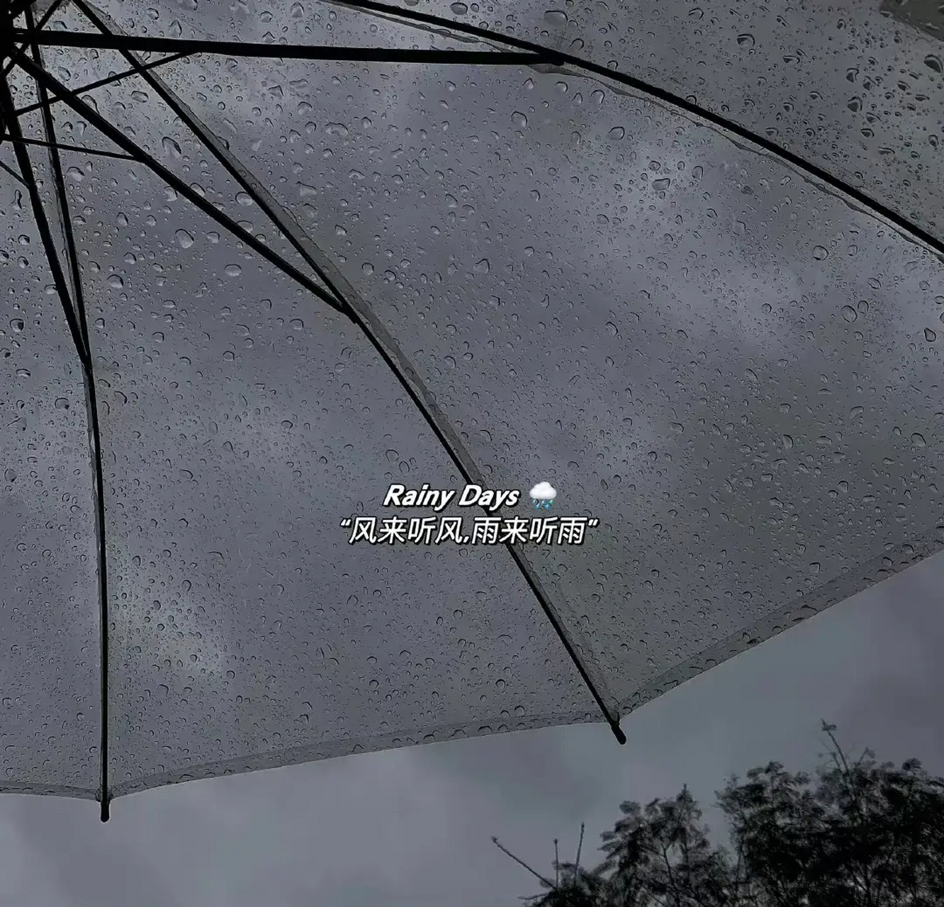 朋友圈下雨天文案: 086172156108 6030383334