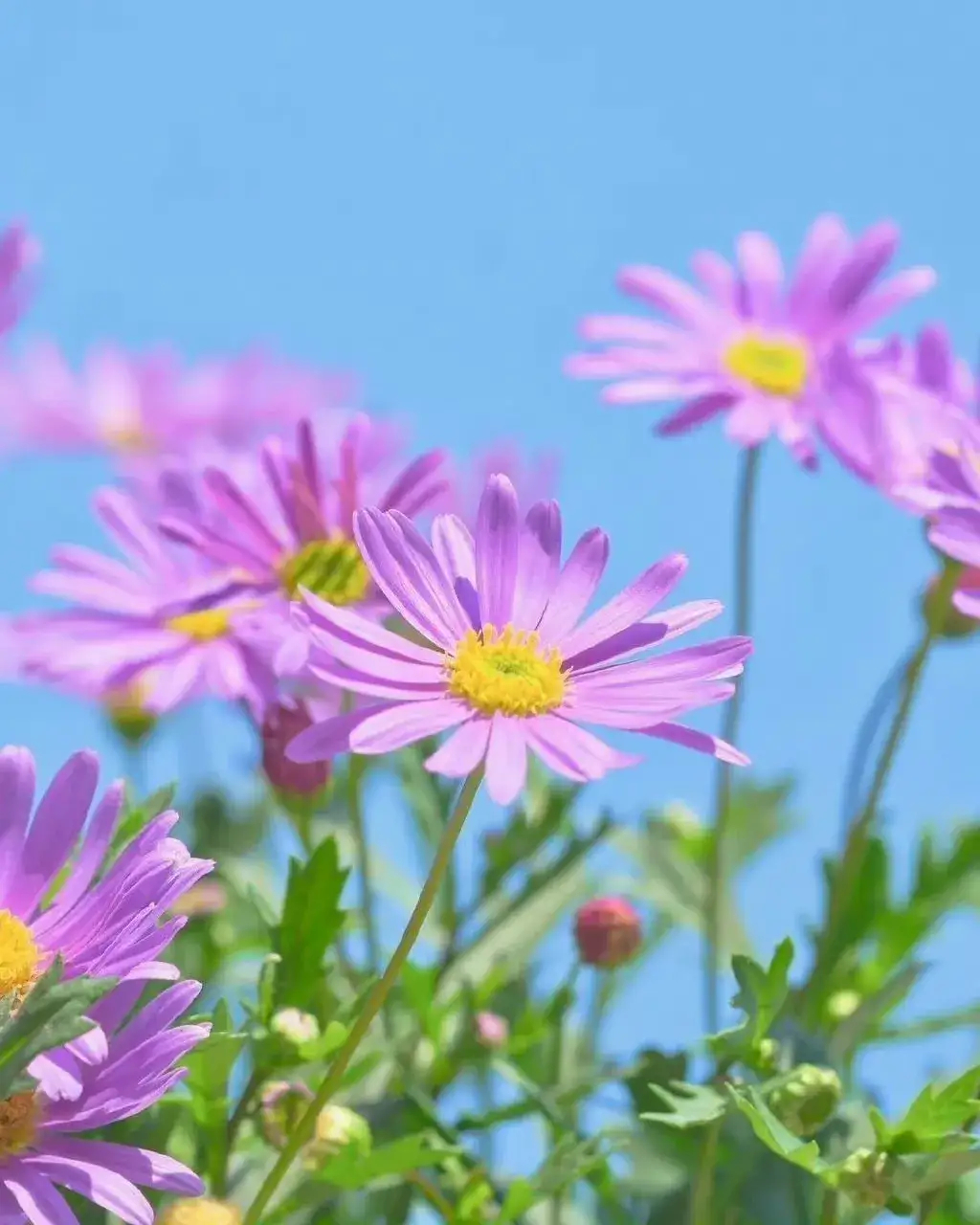 把快乐 ,放大, 再放大,就会发现夏天就是彩虹色969696