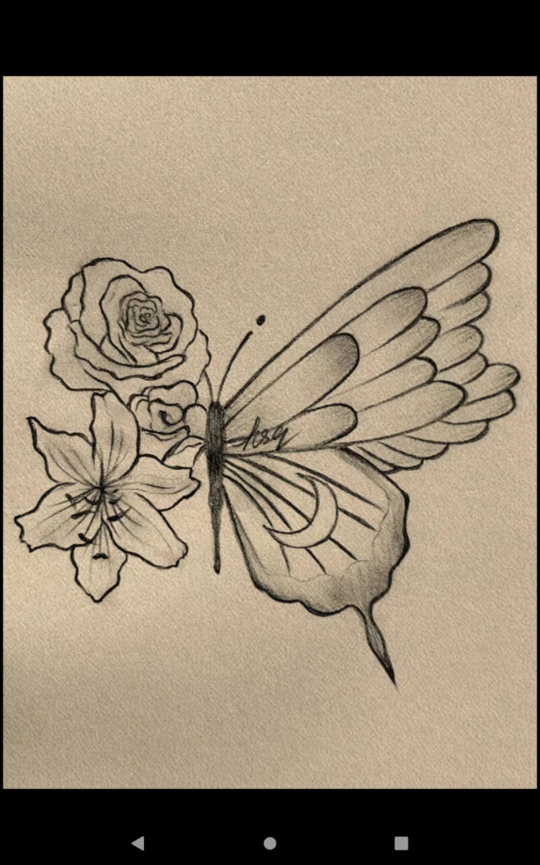 蝴蝶教程接上集