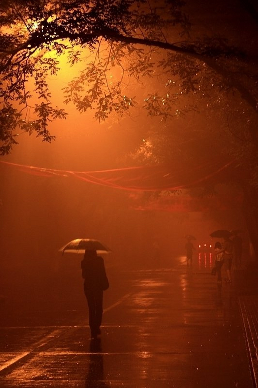 梦之雨  雨夜    分着门里门外 灯光暗淡    等候立门外 门里人安静有