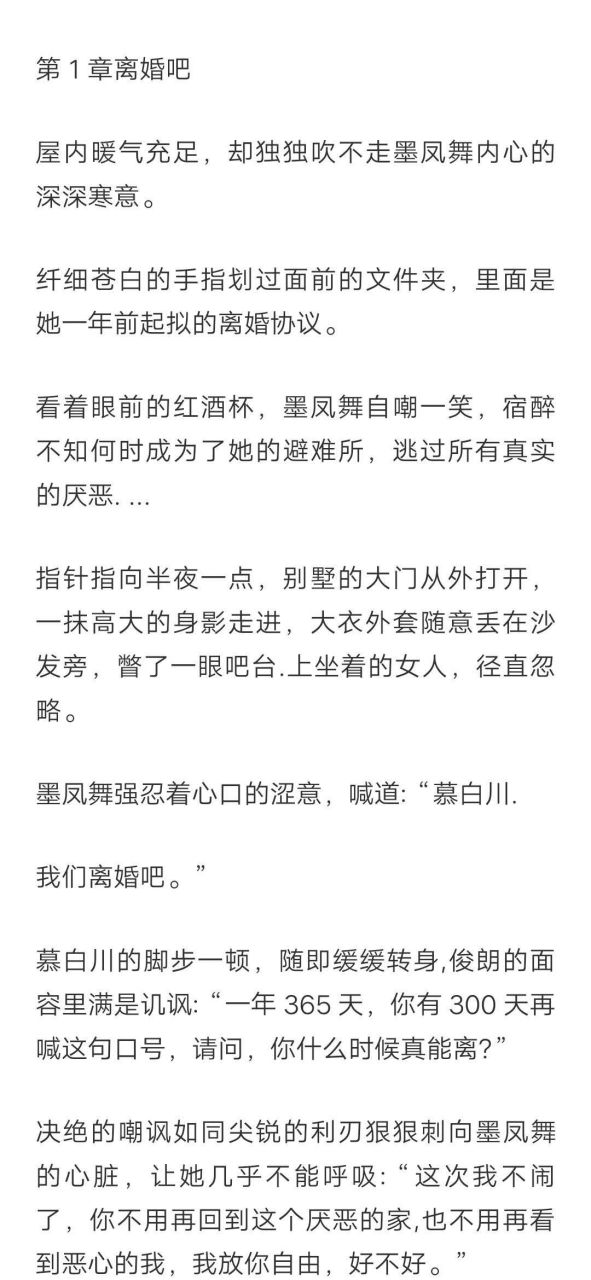 《慕白川,我们离婚吧》墨凤舞慕白川肖洛川荃文  boctey