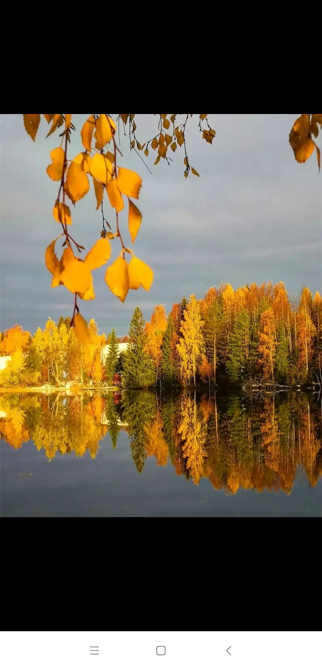 秋日秘境9490  走进这幅秋日画卷,首先映入眼帘的