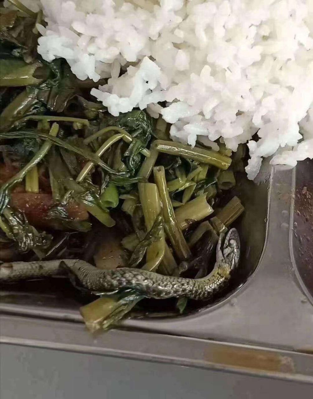 tmd这就是南京喜星电子厂的食堂  谁去谁后悔  大家都不要来  真的