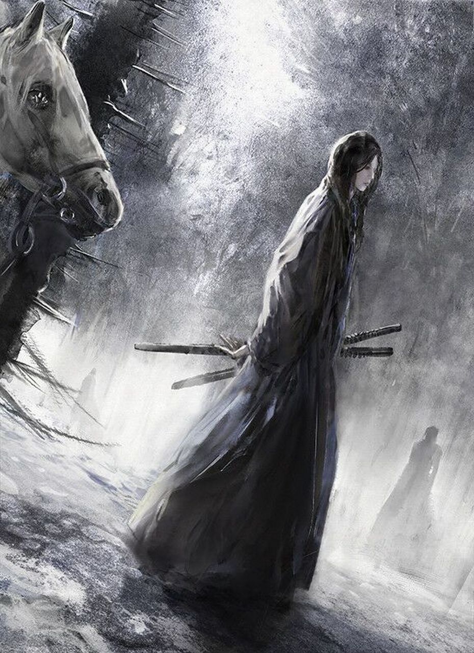 我是孤独的剑客,一个人在人间流浪,独自徘徊在生与死的边缘.